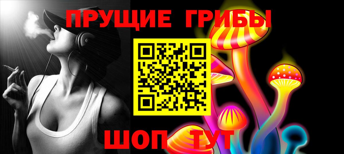 Галлюциногенные грибы Psilocybe Ростов-на-Дону