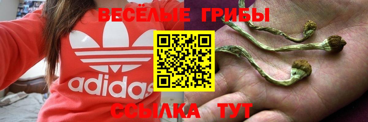 Ростов-на-Дону  Псилоцибиновые грибы GOLDEN TEACHER  наркошоп  Вход с VPN 